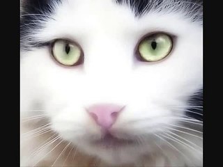 ORNELLA VANONI     QUESTA VOLTA NO