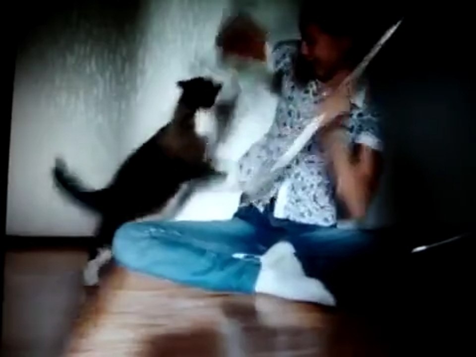 Прекрати это дерьмо, женщина