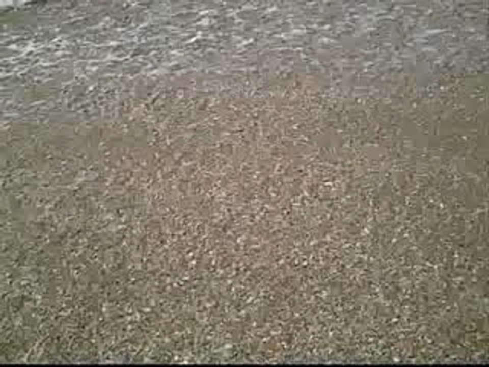 sea