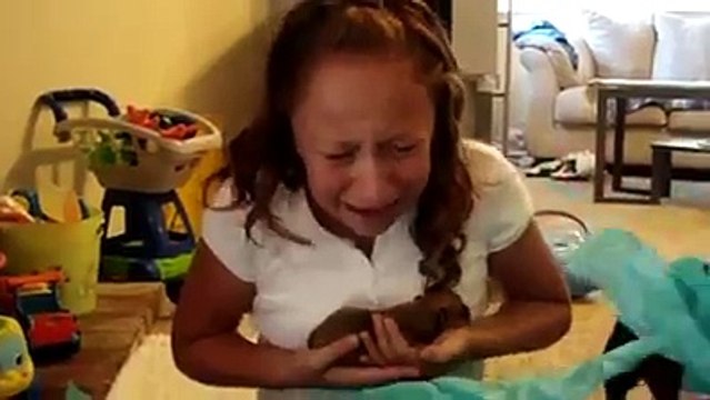 Questa bimba incontra il suo cucciolo per la prima volta: la sua reazione non ha prezzo