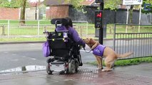 Questa donna disabile ha bisogno di aiuto: ecco cosa fa il cane per lei ogni giorno