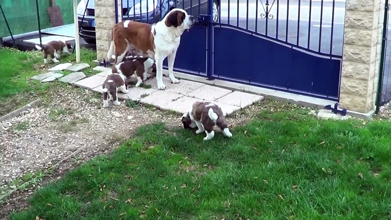 La balade et la gamelle 2015-10-12