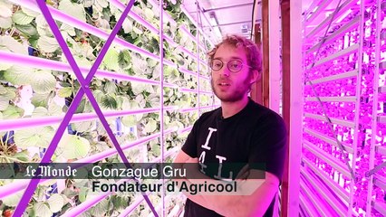 Agricool :  Donner à la plante tout ce dont elle a besoin (3/4)