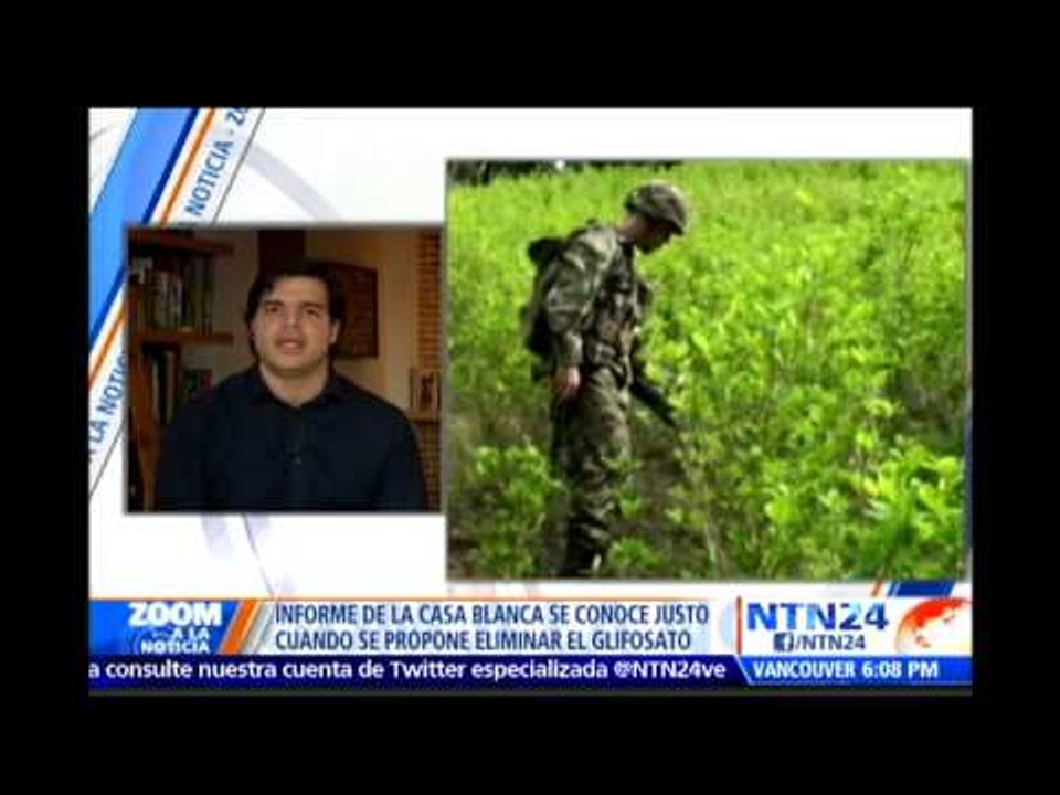 ¿Aumentan cultivos de coca en Colombia? Debate en ‘Zoom a la Noticia’