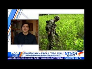 ¿Aumentan cultivos de coca en Colombia? Debate en ‘Zoom a la Noticia’