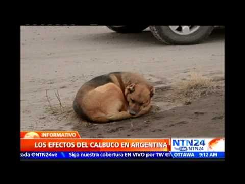 Cenizas del volcán Calbuco llegan hasta el sur de Argentina afectando la actividad aérea del país