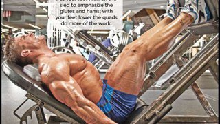 10 Killer Leg Exercises for your Leg Workouts