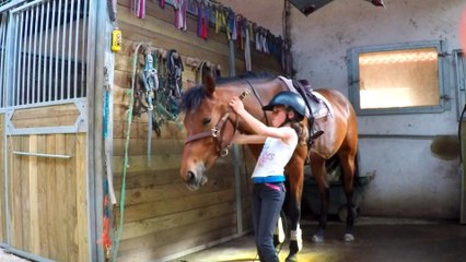 Les écuries de Trangy stages