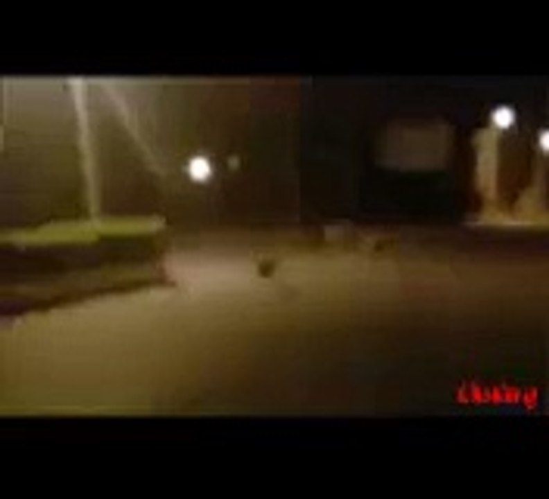 Real Ghost..