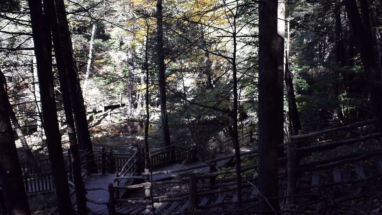 Bushkill Falls 1