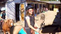 Les écuries de Trangy poney club et centre équestre