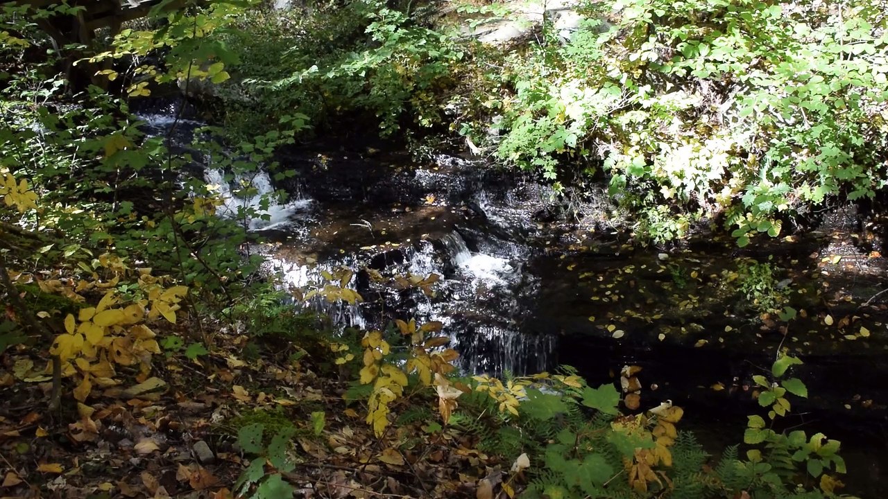 Bushkill Falls 6