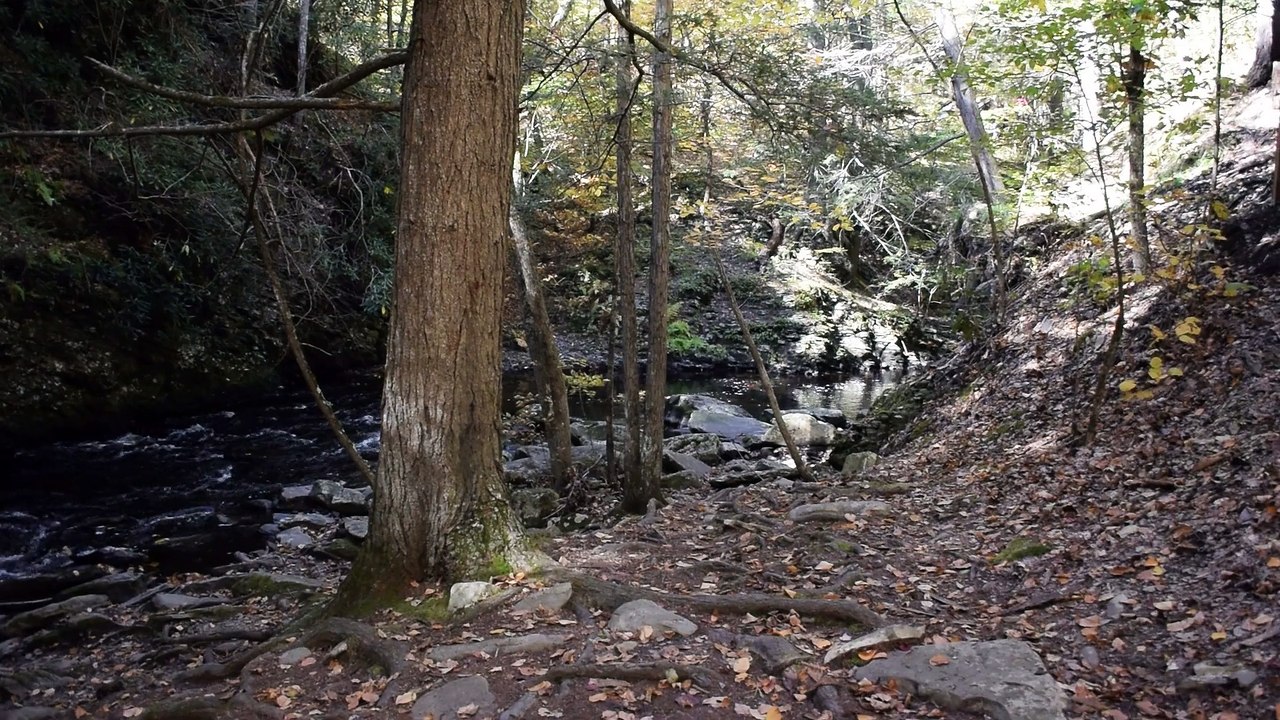Bushkill Falls 7