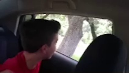 Ostrich Scares Kid At Zoo And Eats His Phone