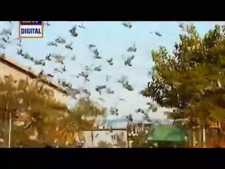 kiran collection dosri biwi episode 20