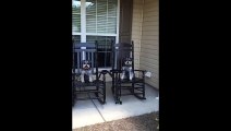 Dog Rocks In Rocking Chair