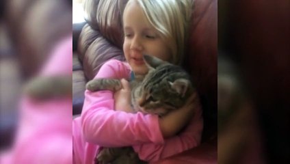 If Youre Happy And You Know It Compilation