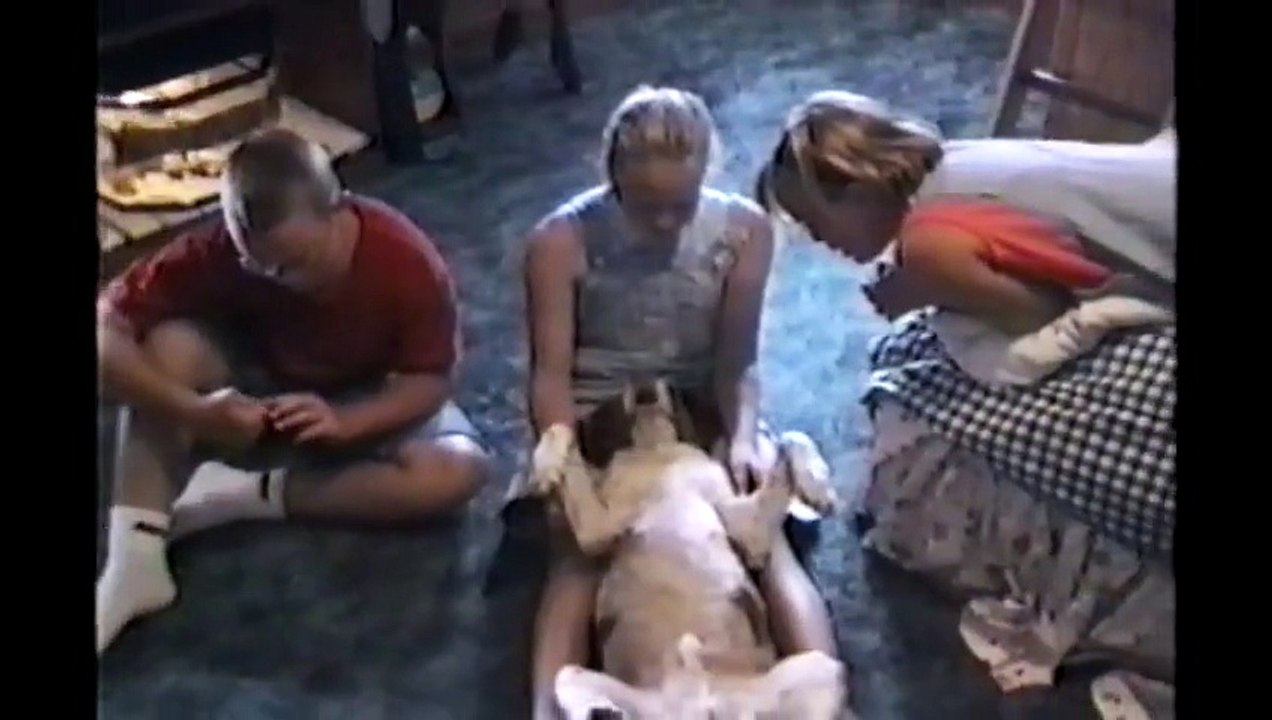 These Dogs Sure Can Sing