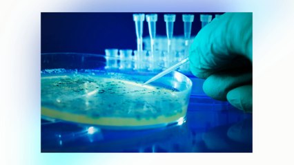 Why You Should Opt Stem Cell Storage for a Better Tomorrow