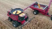 2015 EPIC CABCORN in Central IL, Case IH 8230