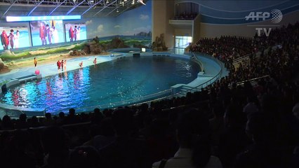 Visite d'un parc d'attraction en Corée du Nord