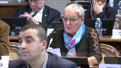 Voeu relatif à l'accueil des refugiés. Presentation et vote. 12 octobre 2015