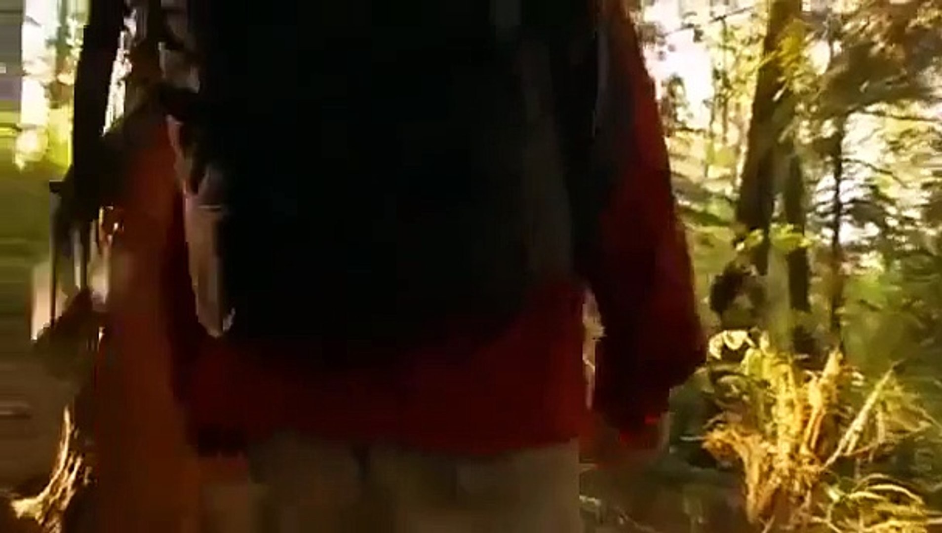 Marijuana Documentary