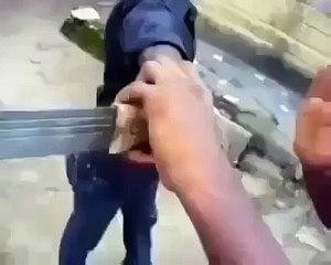 Funny panks  Funny videos  Funny vines  Funny girl  Funny animals past 15