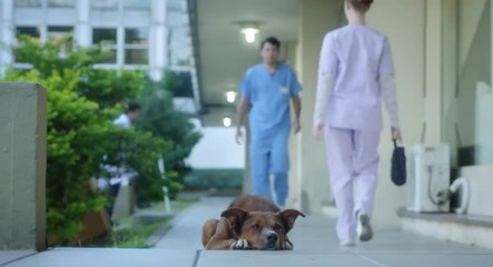 Une campagne pour le don d'organes touchante et émouvante