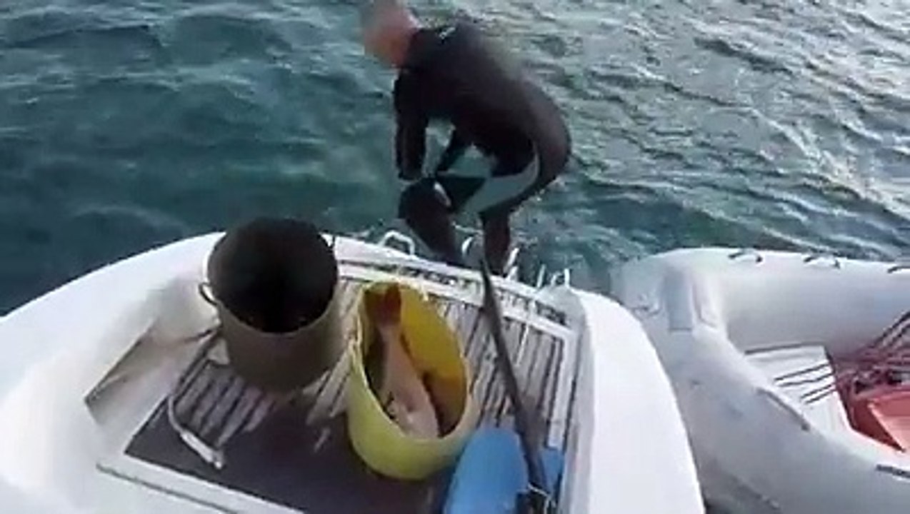 Chasse sous-marine Sans Blas les films d'Eva