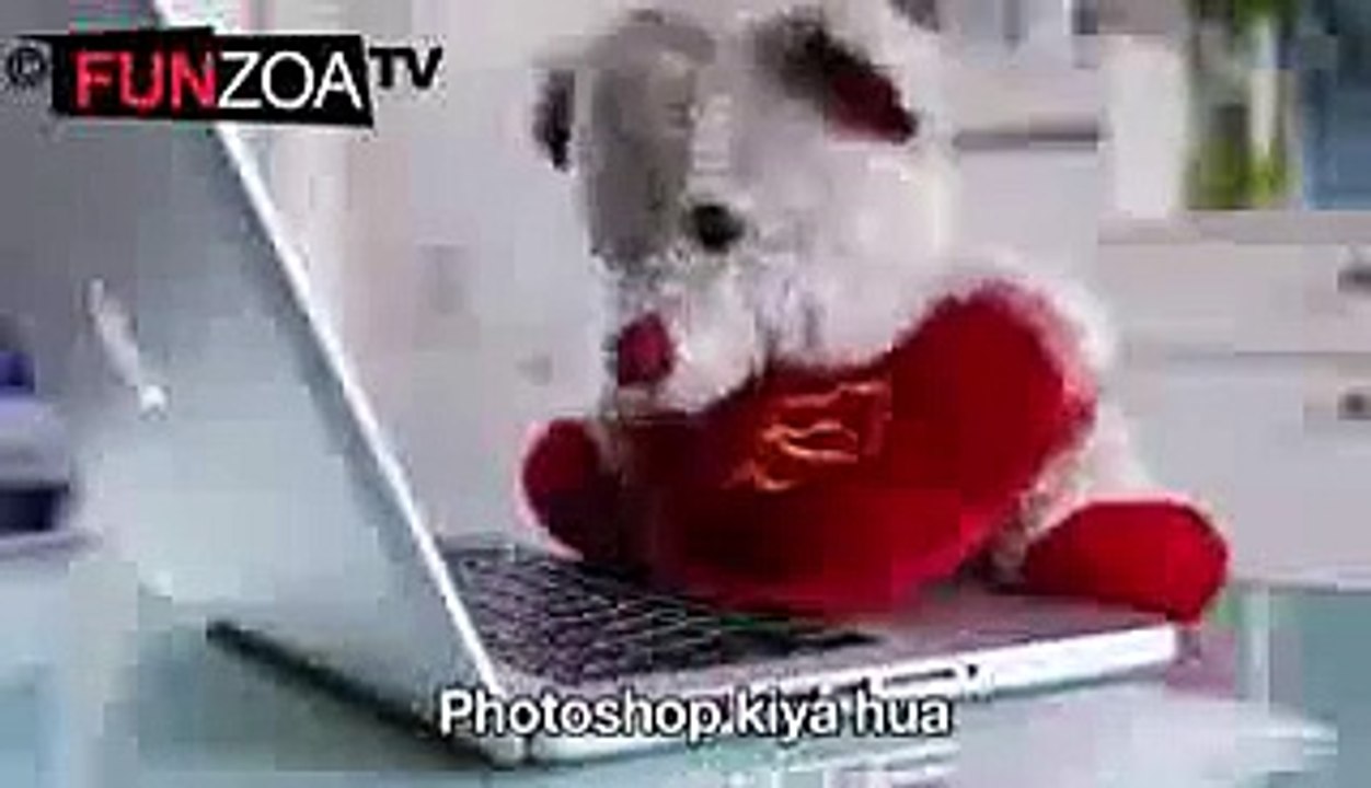 asad butt