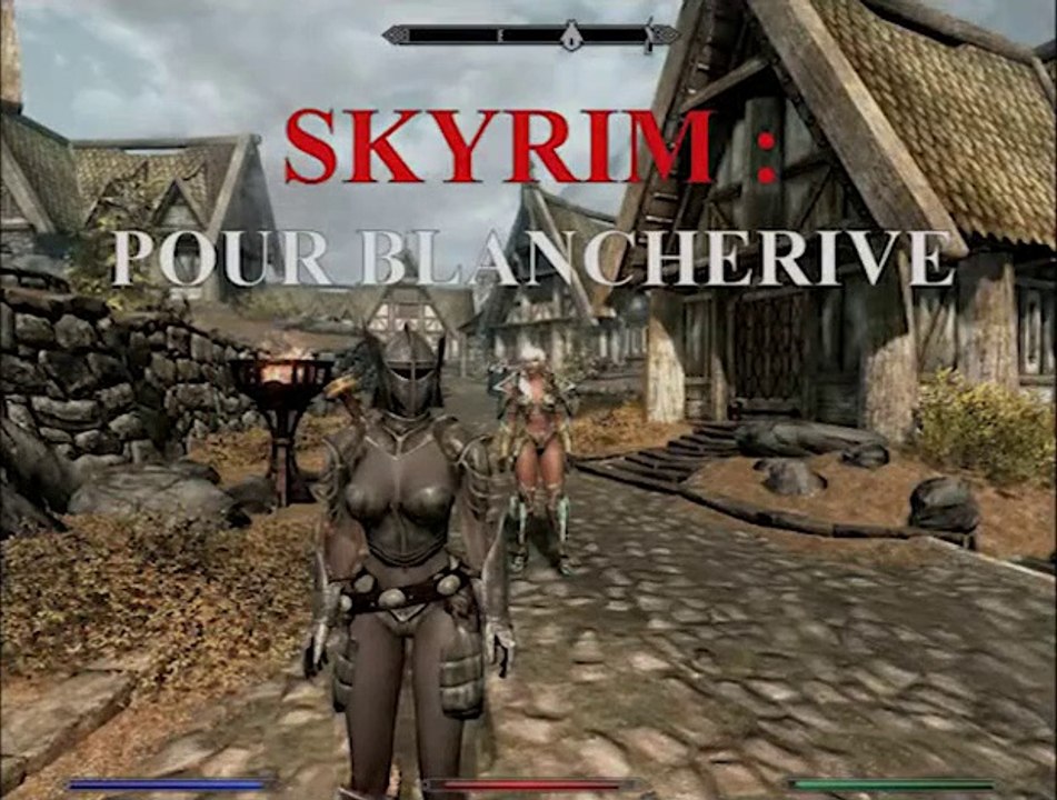 The Elder Scrolls V - Skyrim - 28 - Pour Blancherive