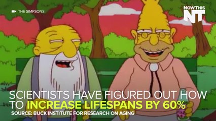 Scientists Discover That "Turning Off" Genes Can Increase Lifespan