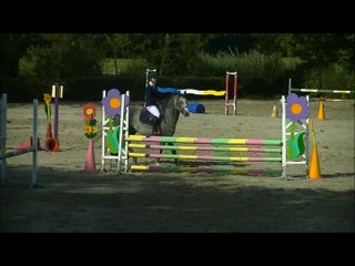 Ecuries Julie Le Guern: Email de la Vallée Perdue a vendre