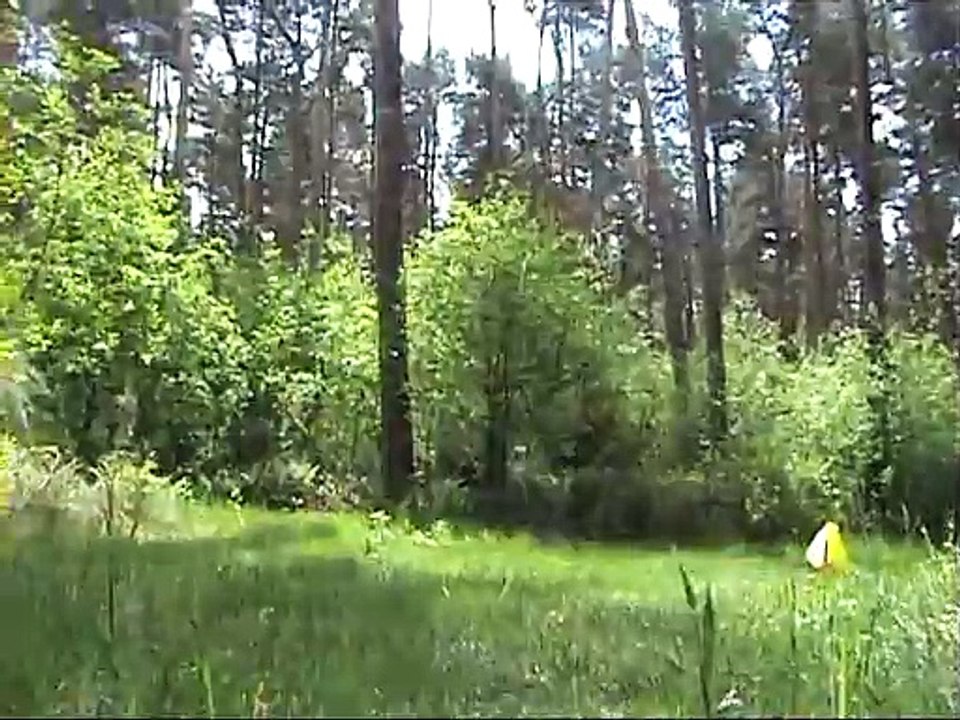 1,1kg PNNM by Team LBVG & Friends