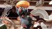 RATATOUILLE Movie Mistakes and Fails You Didn't Notice These Facts
