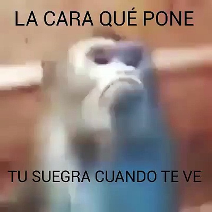 Tu suegra al verte