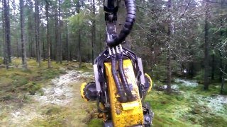 modern technology for cutting the tress