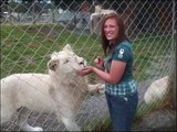 British gap-year girl survives lion attack-7zOWCRo23t4