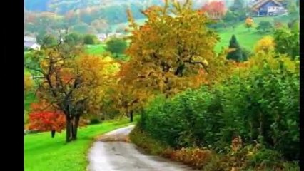 Mehmet Özkaya   Terkedip Gitmekse Maksadın Eğer