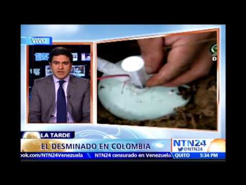 "Es prácticamente imposible un desminado sin un cese al fuego en Colombia": Samuel Hoyos