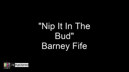 Barney Fife - Nip It in the Bud - Best Moments - The Andy Griffith Show HD