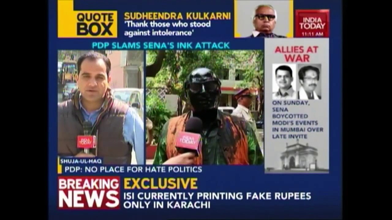 Fringe Elements Cannot Shrink Space Of Freedom Of Expression_ Mufti On Ink Incident