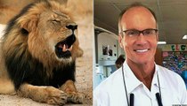 BBC Radio 4 PM - Eddie Mair on no charges for Walter Palmer for killing Cecil the lion in Zimbabwe 12Oct15
