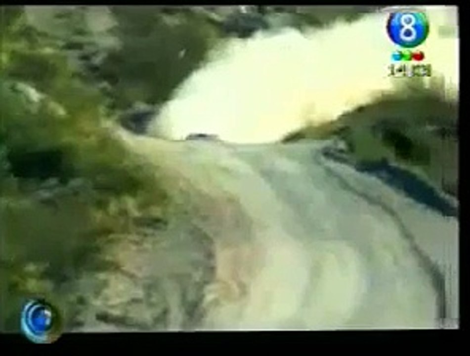 Fatal Crash. Rally car hits Horse !!!