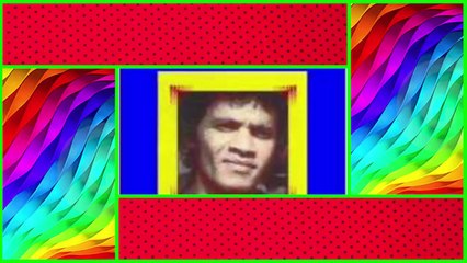 DIOMEDES - CASA CAIADA