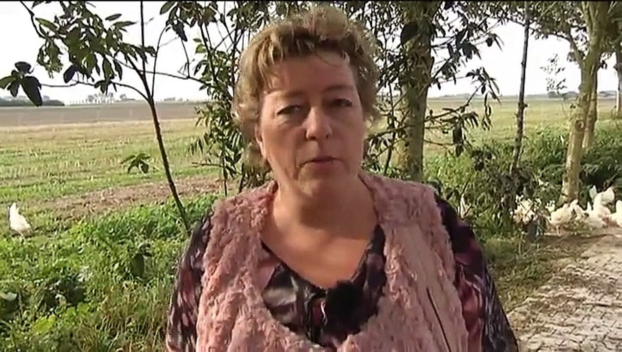 Het Weer Harma bie de boer [12102015] RTV Noord Video Dailymotion