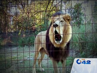 NA 122: Funny allegations from KHURRAM QURESHI on PML-N