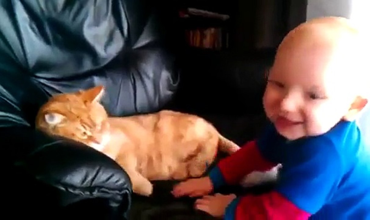 Bebe Pelea Con El Gato, Peligroso No-- ★ Bebe Divertido Bebe Chistoso Bebe Risa Bebe Tierno Bebe