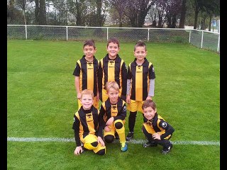 LES YEUX DANS LES JAUNES ET NOIRS (VIDEO)